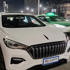 Hongqi E-HS3, 2019