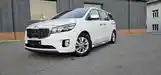 Kia Carnival, 2014-3