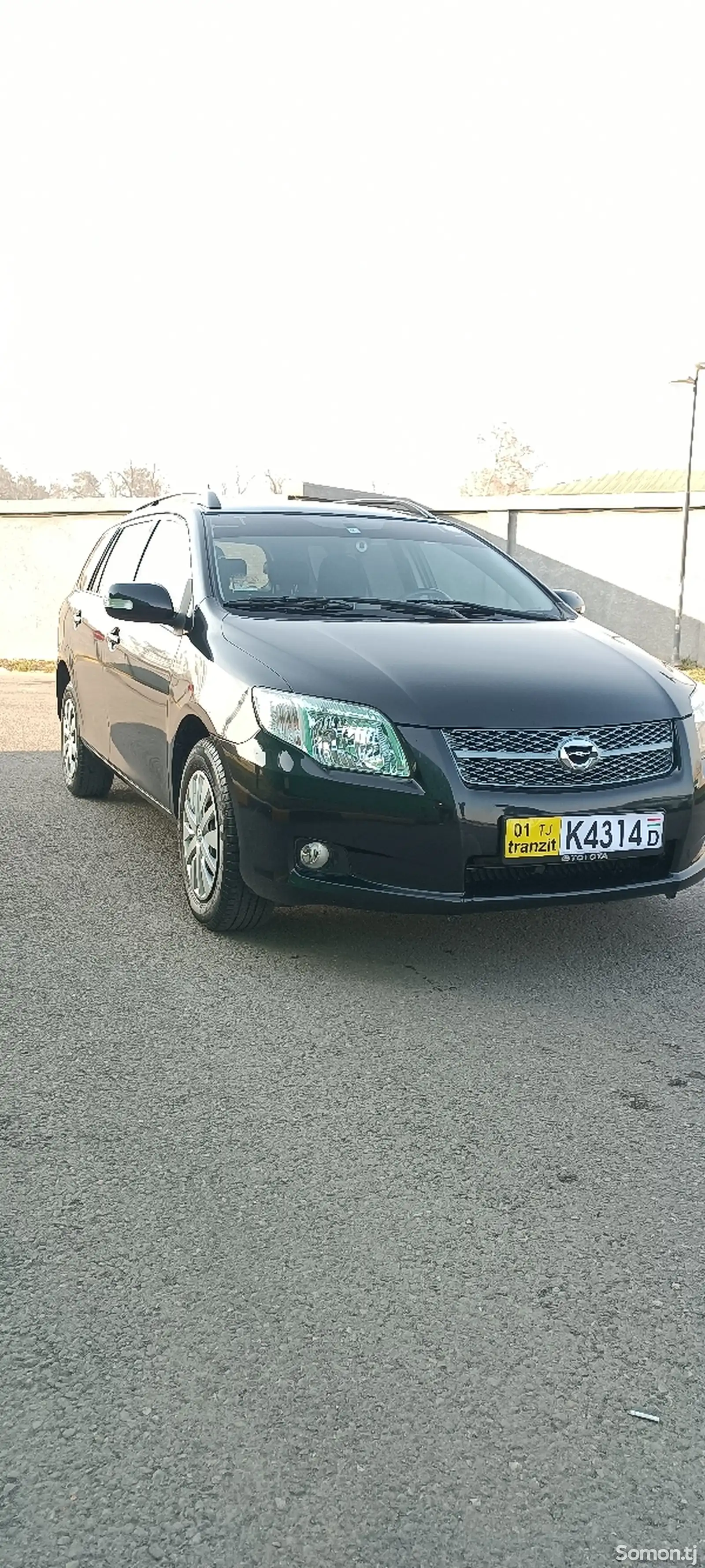 Toyota Fielder, 2008-1