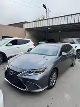 Lexus ES series, 2018-2