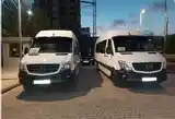 Пассажирские перевозки на Mercedes Benz Sprinter-3