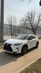 Lexus RX series, 2019-4