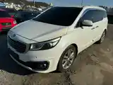 Kia Carnival, 2017-12