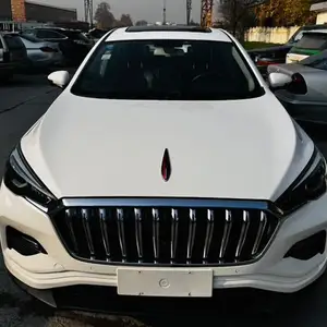 Hongqi E-HS3, 2020