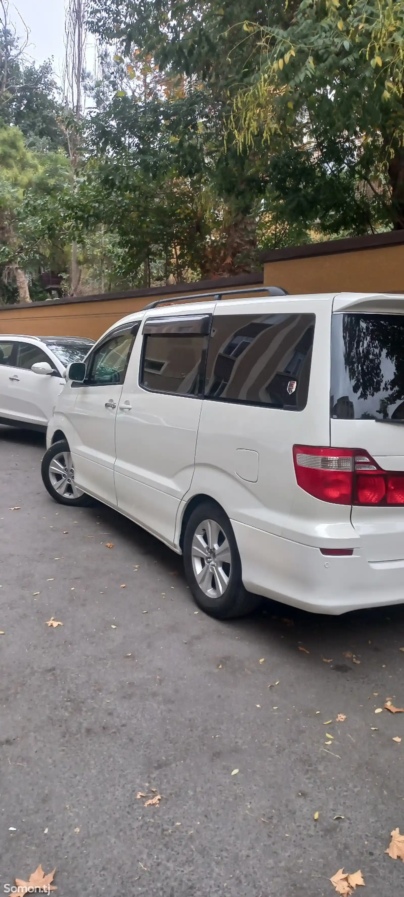 Toyota Alphard, 2007-3