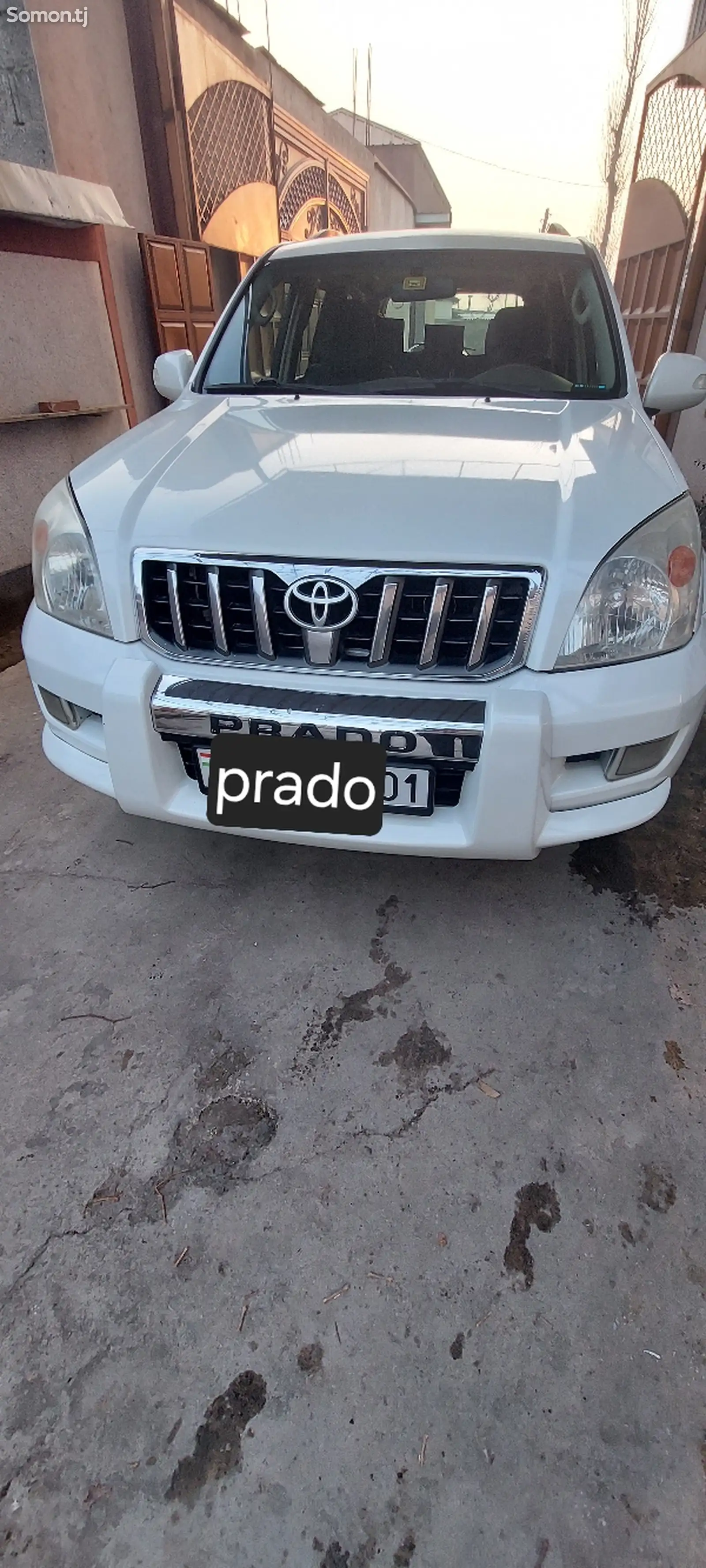 Toyota Land Cruiser Prado, 2009-1