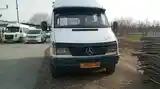 Микроавтобус Mercedes Benz Sprinter , 1999-4