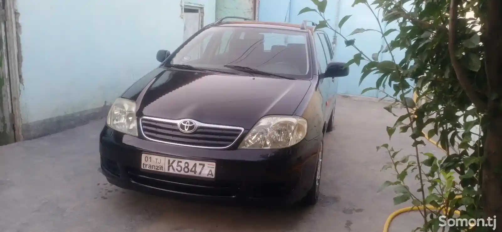 Toyota Corolla, 2006-3