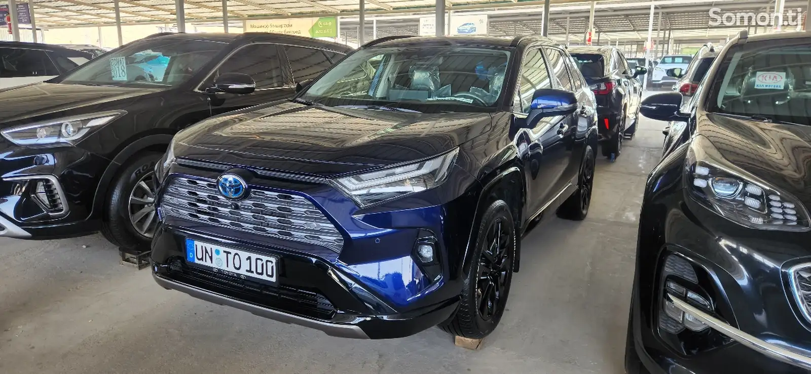 Toyota RAV 4, 2023-1