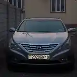 Hyundai Sonata, 2010-5