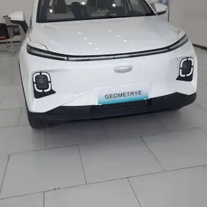 Geely Geometry E, 2024