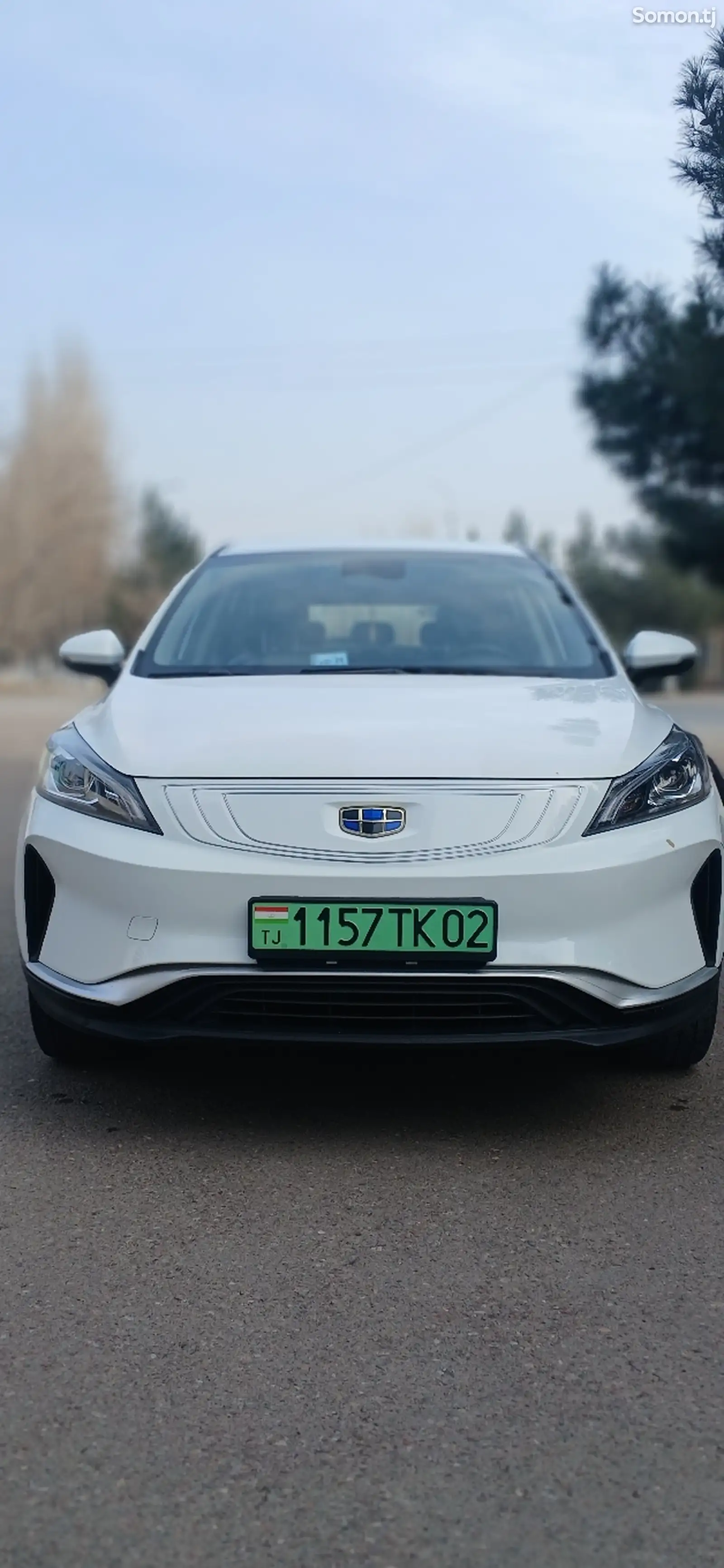 Geely Emgrand, 2019-1