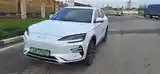 BYD Yuan Plus, 2024-7