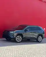 Toyota RAV 4, 2019-5