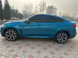 BMW X6, 2018-4