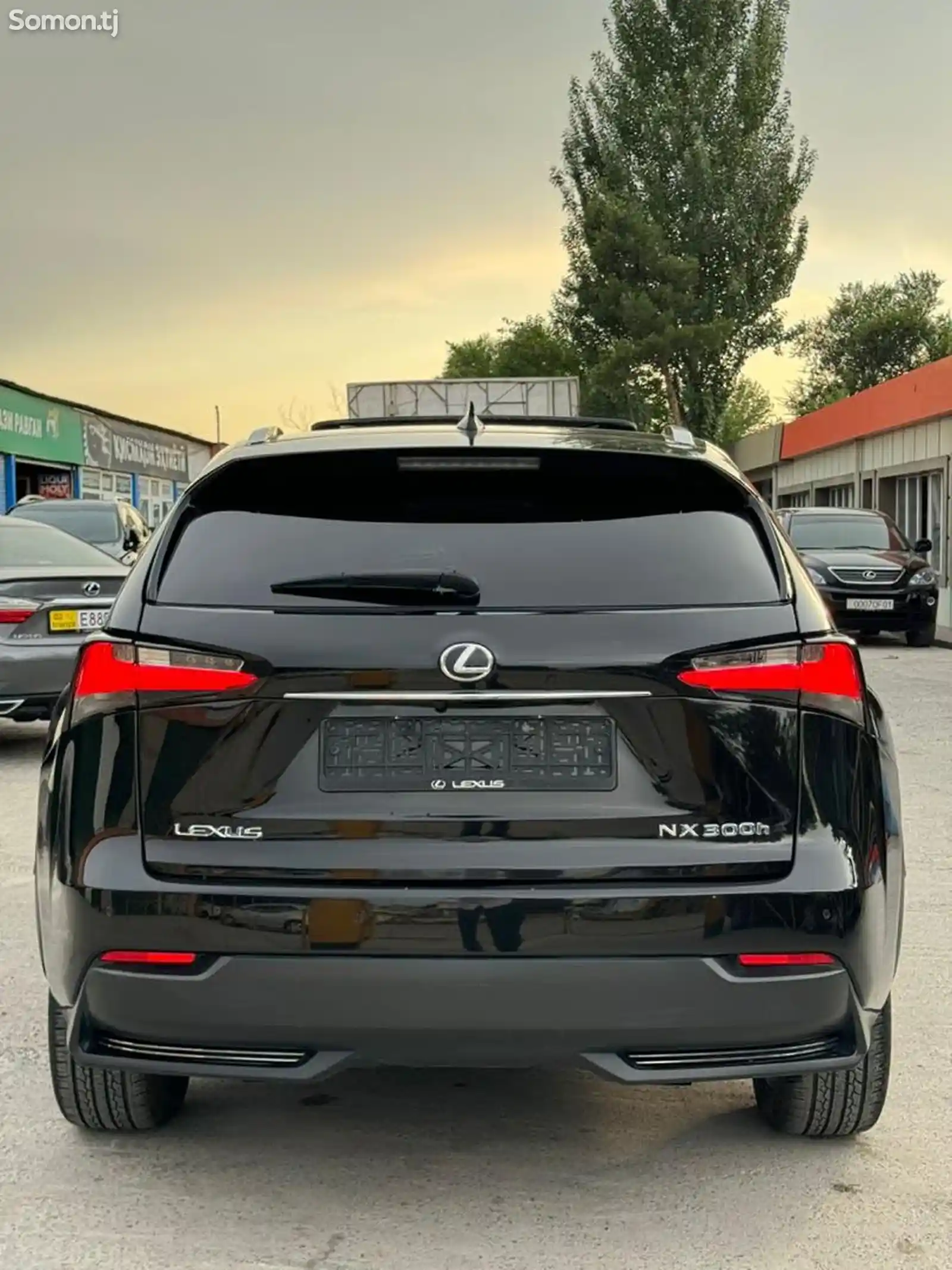 Lexus NX series, 2019-3