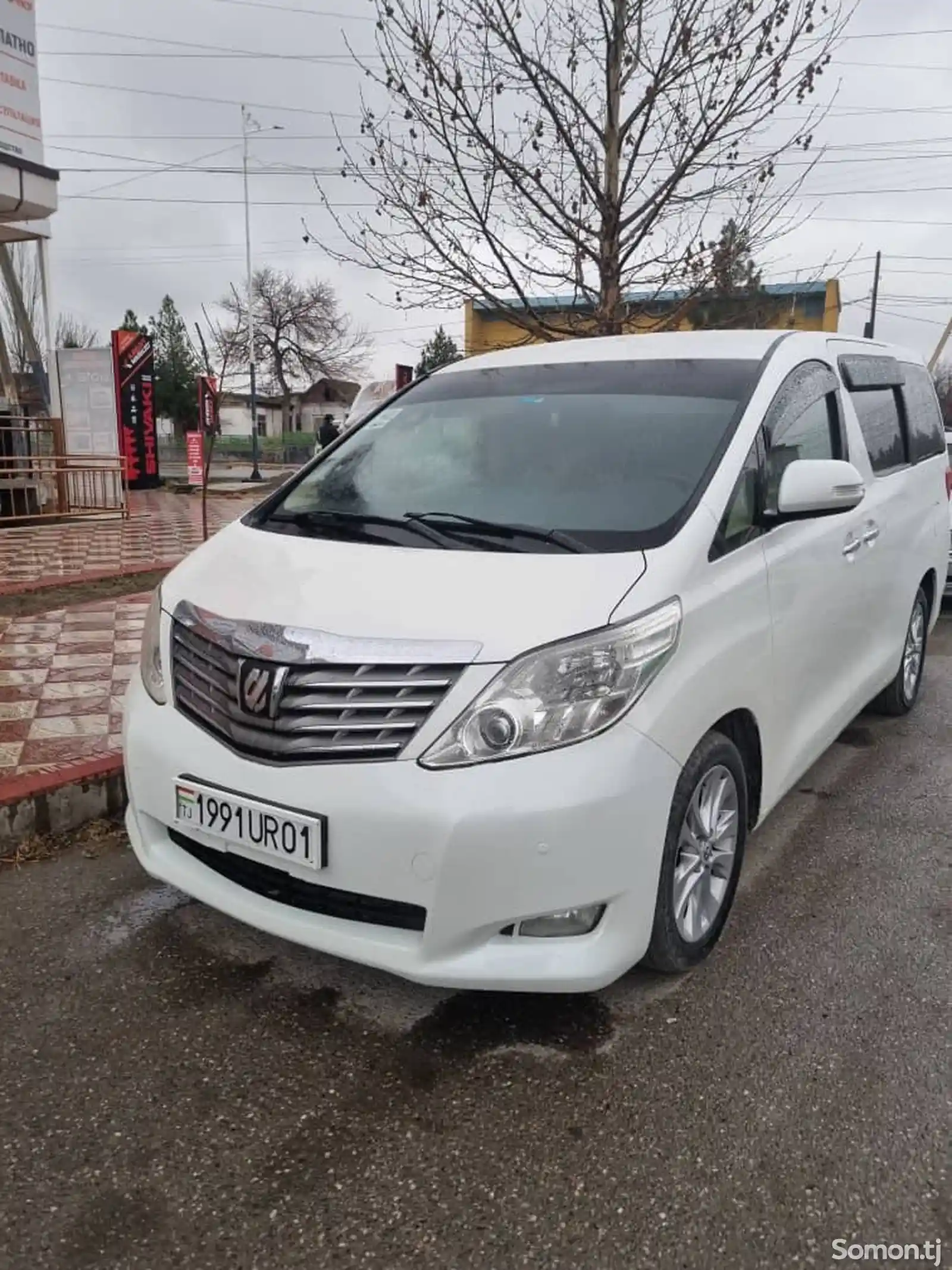 Toyota Alphard, 2009-1