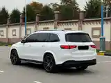 Mercedes-Benz GLS, 2020-5