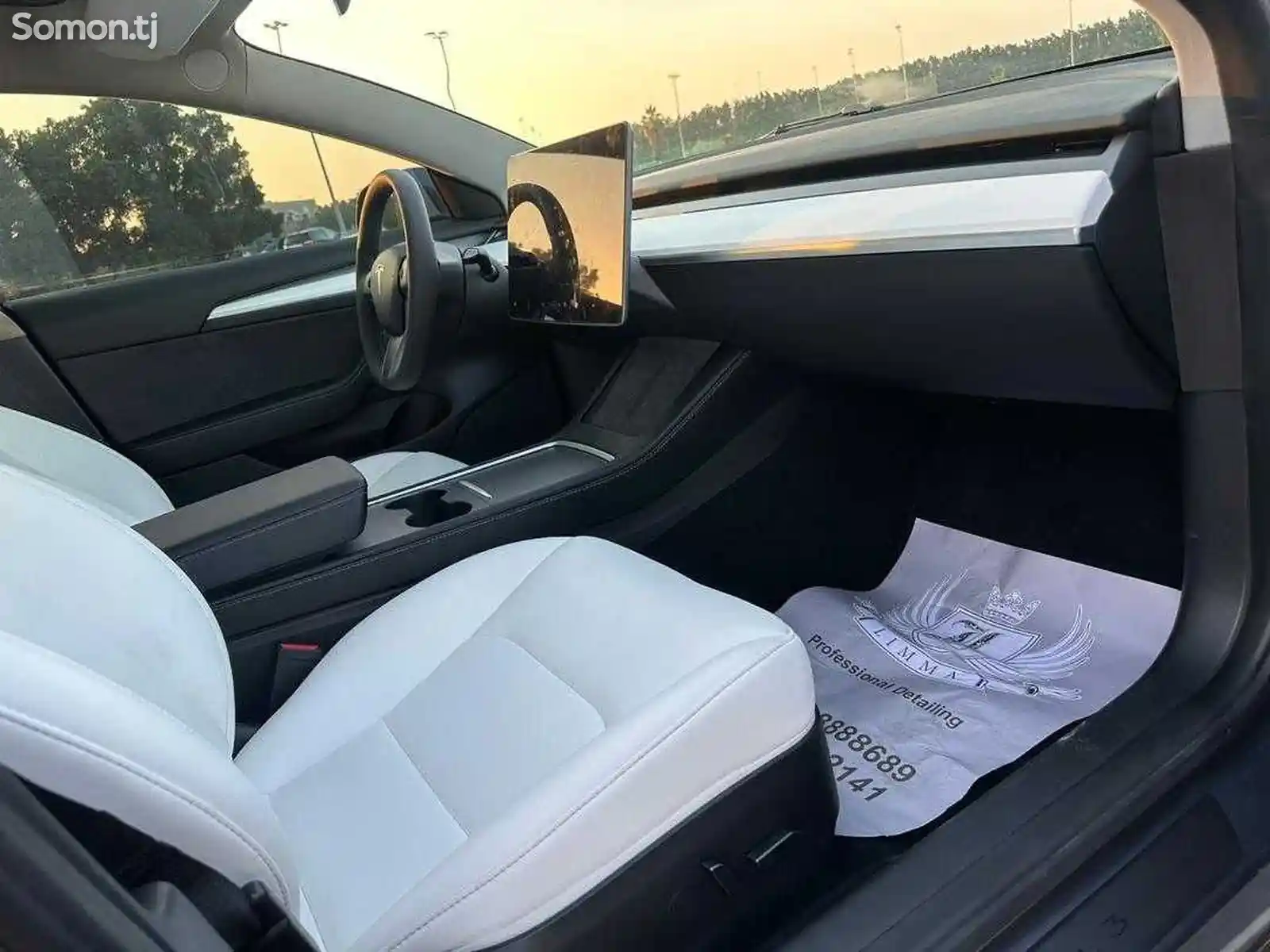 Tesla Model 3, 2023-8