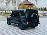 Mercedes-Benz G class, 2017-4