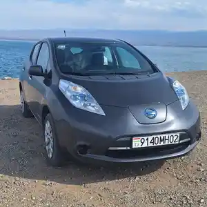 Nissan Leaf, 2013