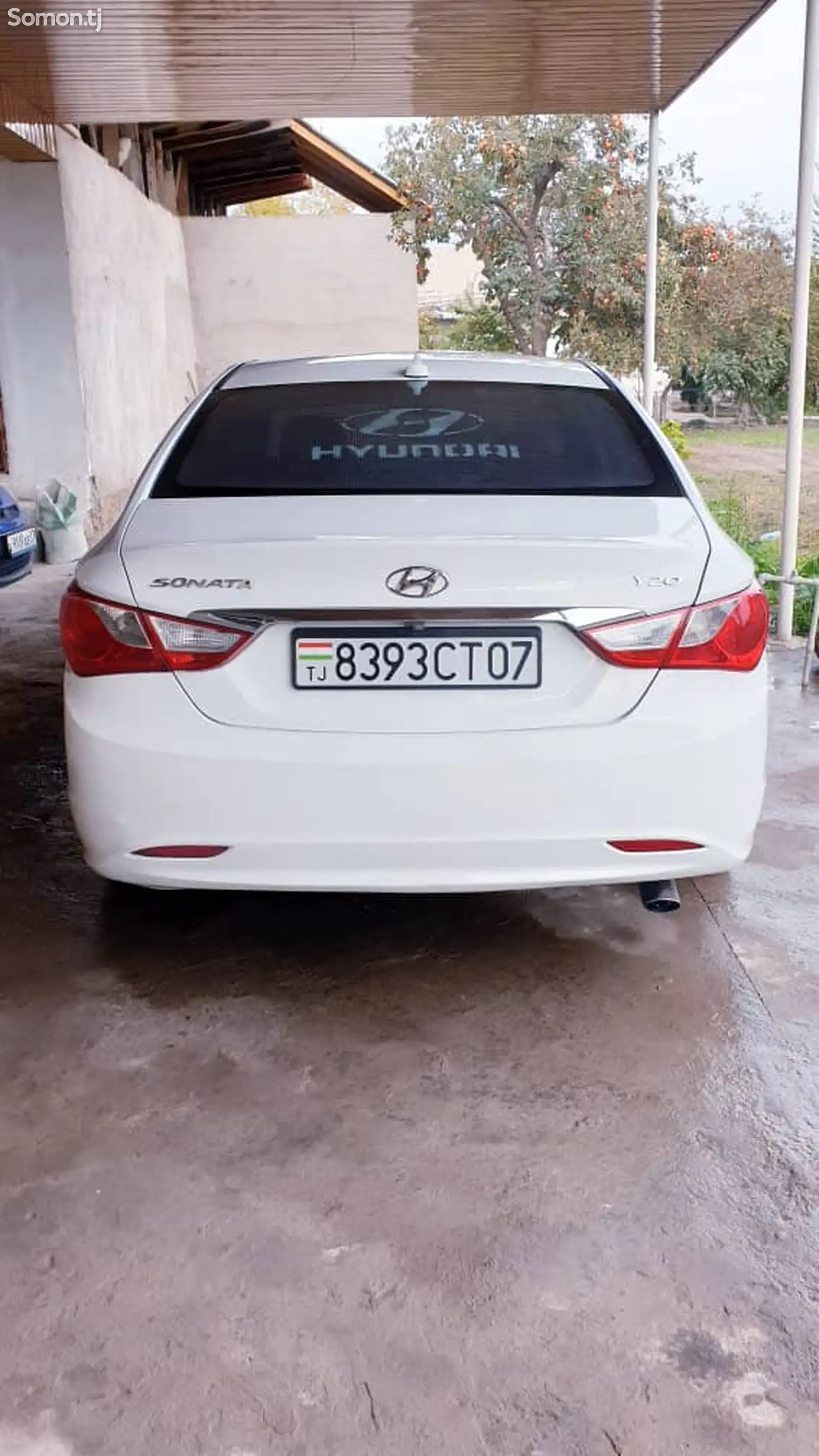 Hyundai Sonata, 2010-1