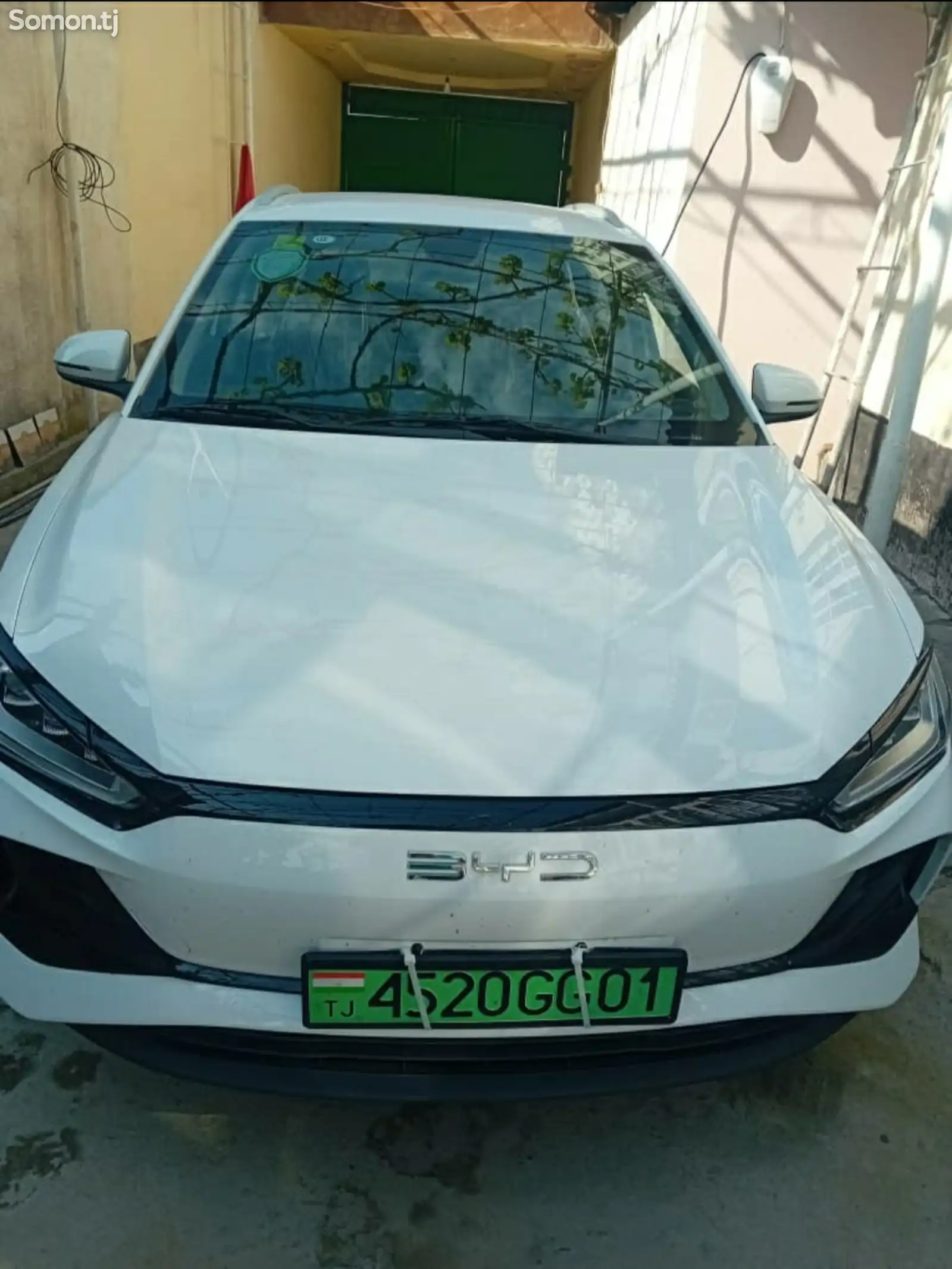 BYD E2, 2024-1