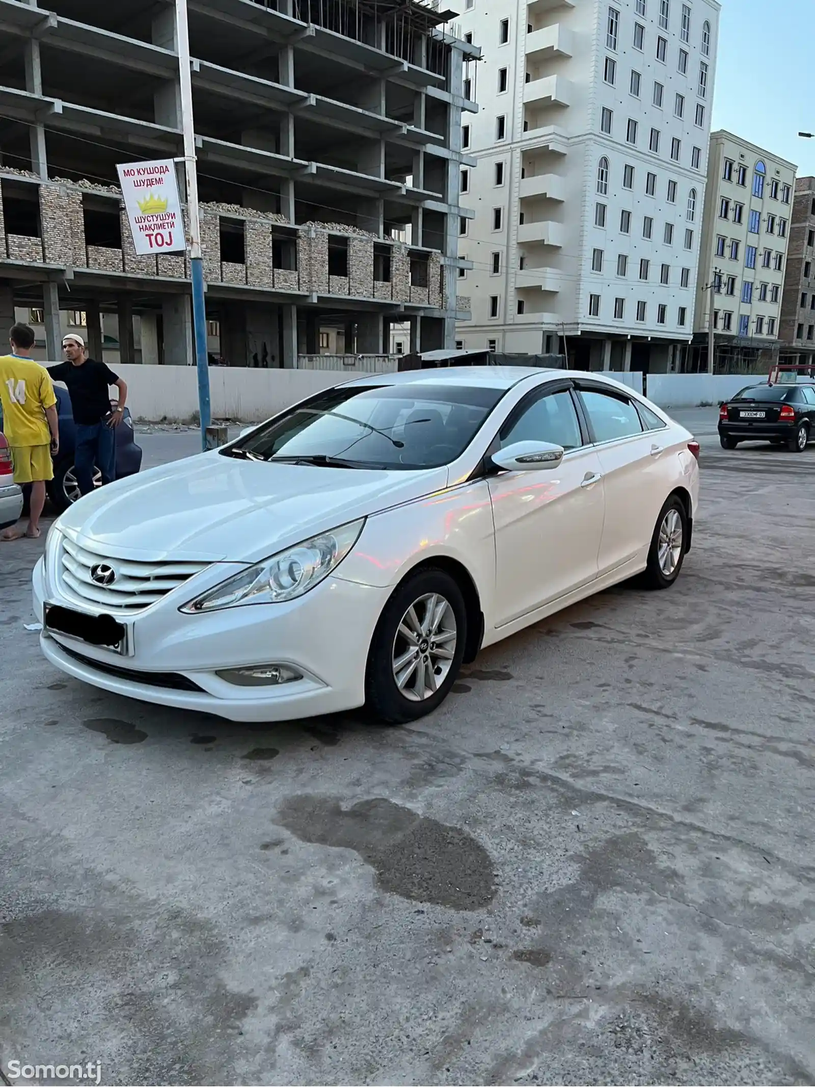 Hyundai Sonata, 2010-1