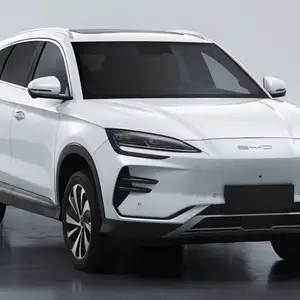 BYD Song Plus Flagship, 2024