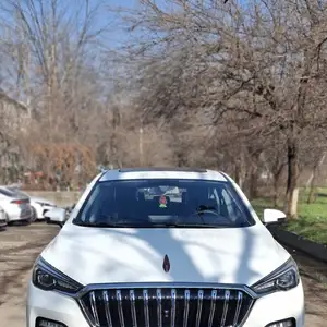 Hongqi E-HS3, 2019