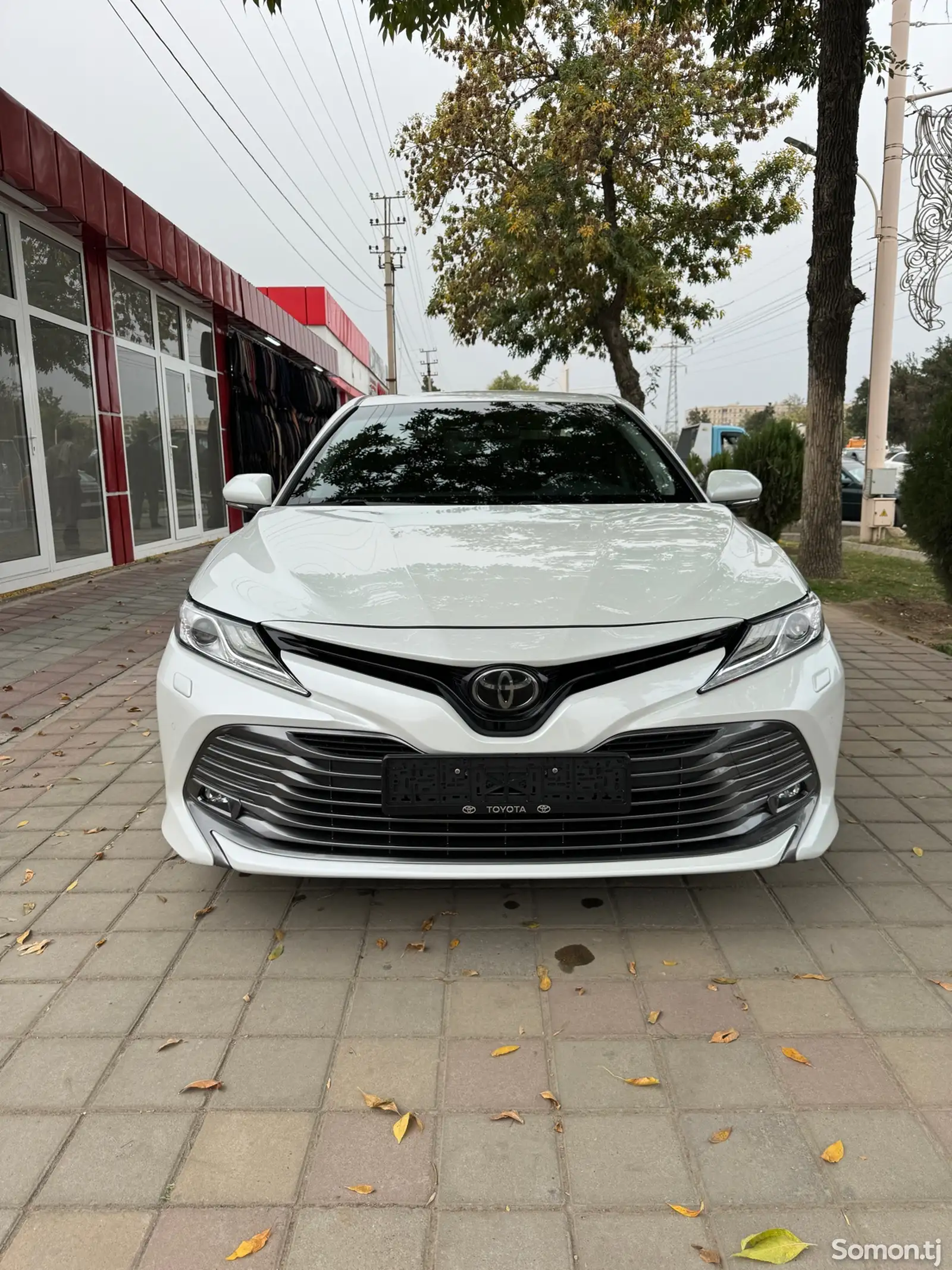 Toyota Camry, 2019-1