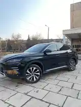 BYD Song Plus Flagship, 2024-2