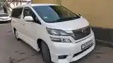 Toyota Vellfire, 2010-4