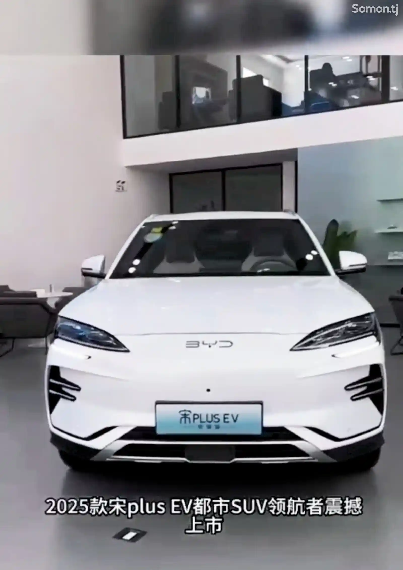 BYD Song Plus Flagship, 2024-1