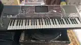 Синтезатор korg pa 700 orental-4