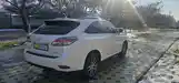 Lexus RX series, 2013-3