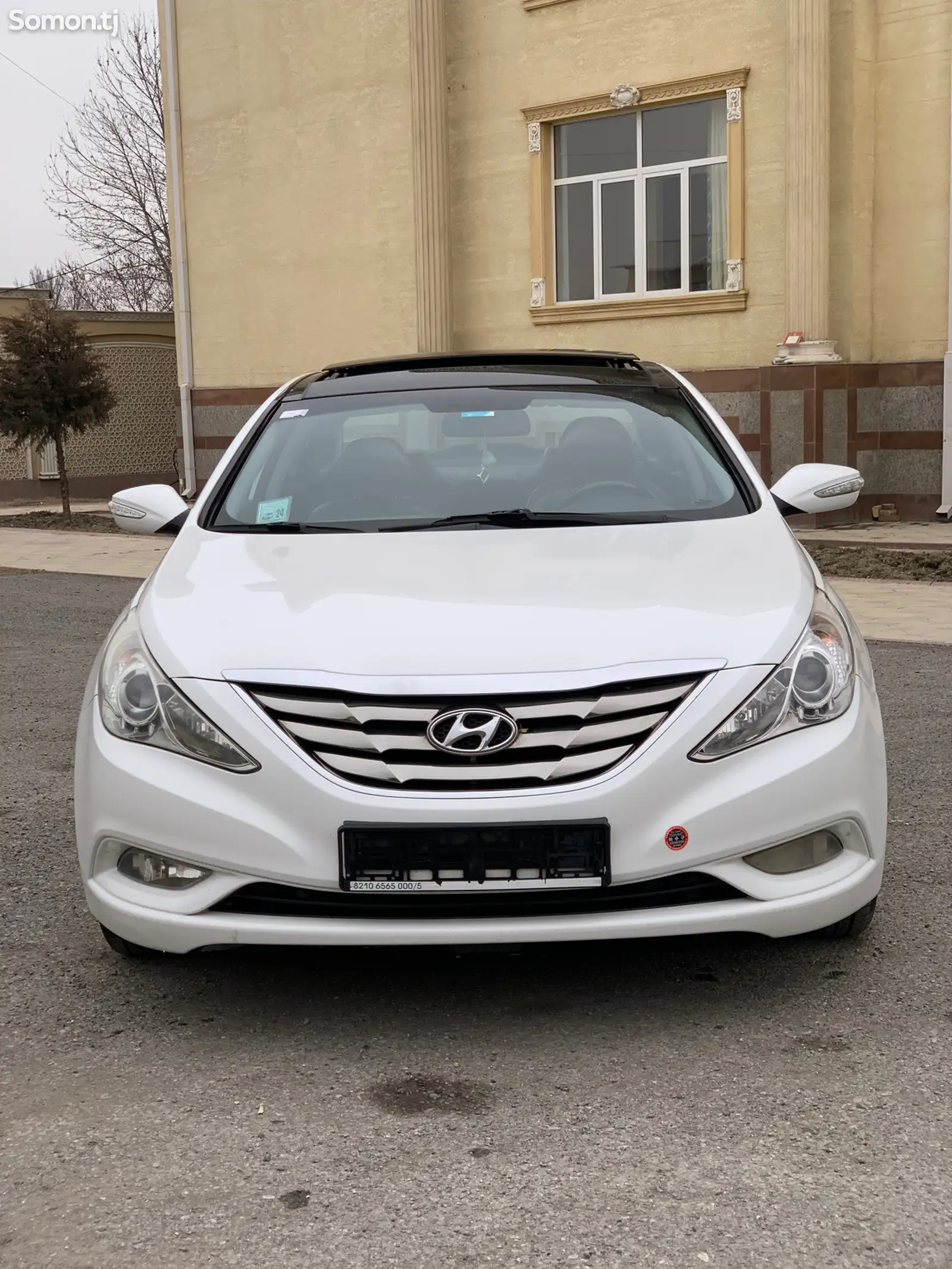 Hyundai Sonata, 2010-1