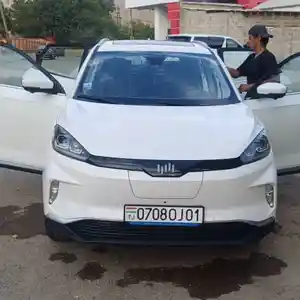 BYD Другие модели, 2019