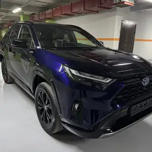 Toyota RAV 4, 2024