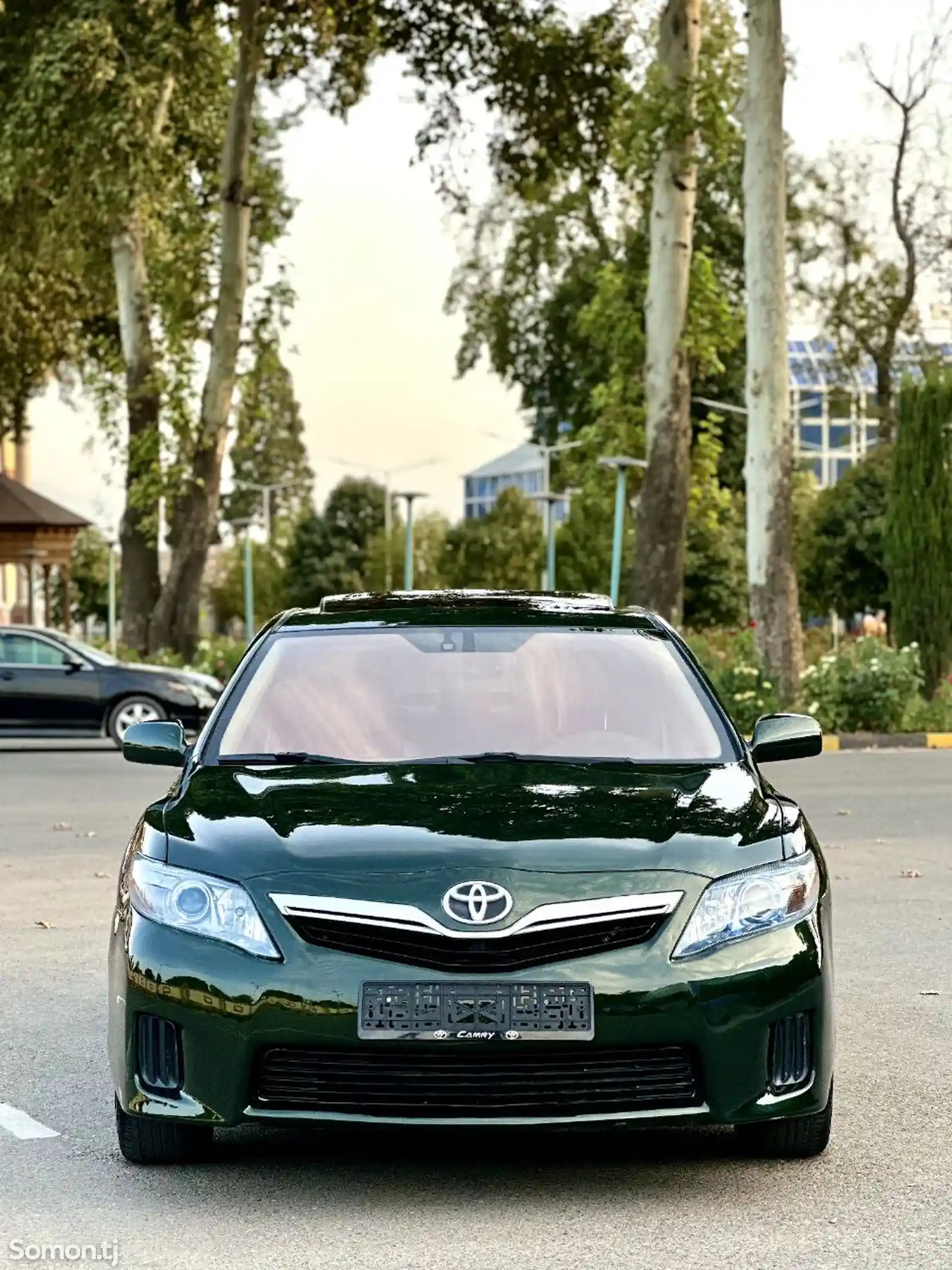 Toyota Camry, 2010-1