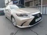 Lexus ES series, 2013-2