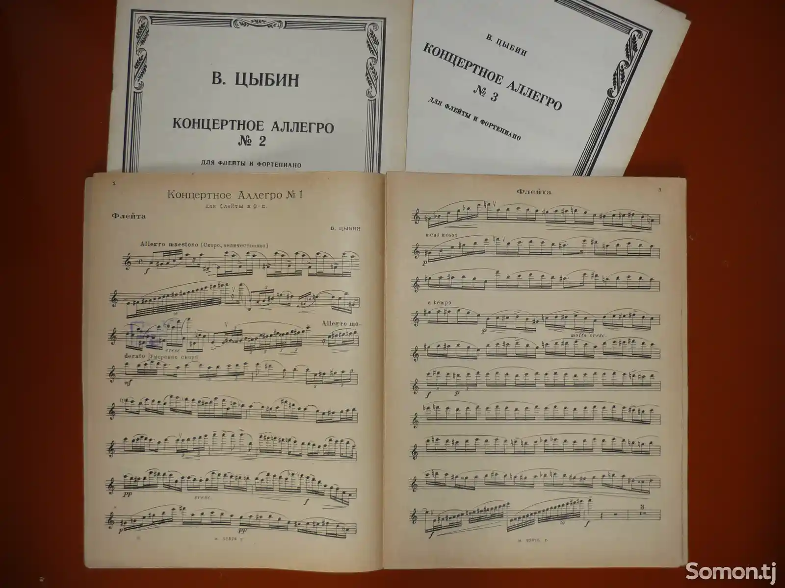 Книга Флейта концертное аллегро-2