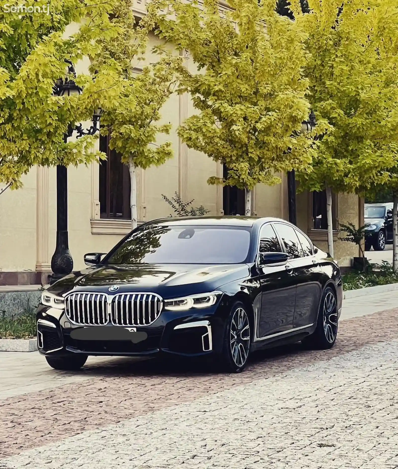 BMW 7 series, 2009-4