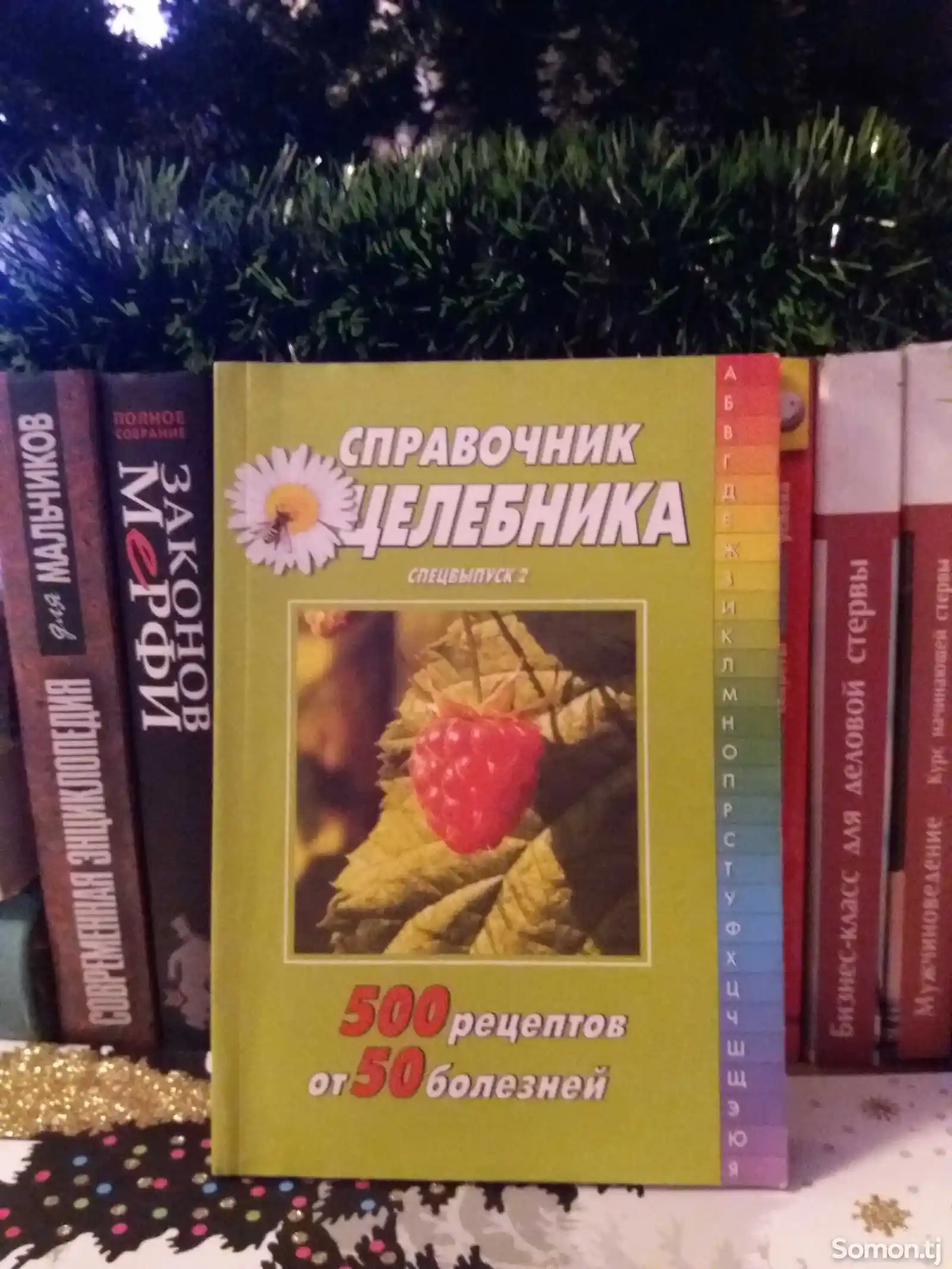 Книга Справочник целебника