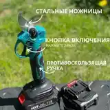 Цепная пила и Сектор-5