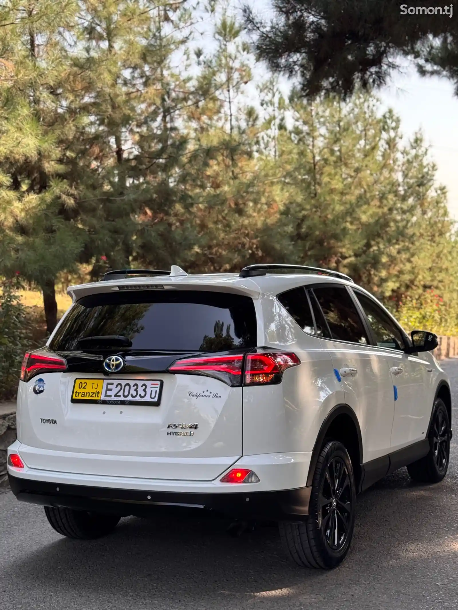 Toyota RAV 4, 2019-6