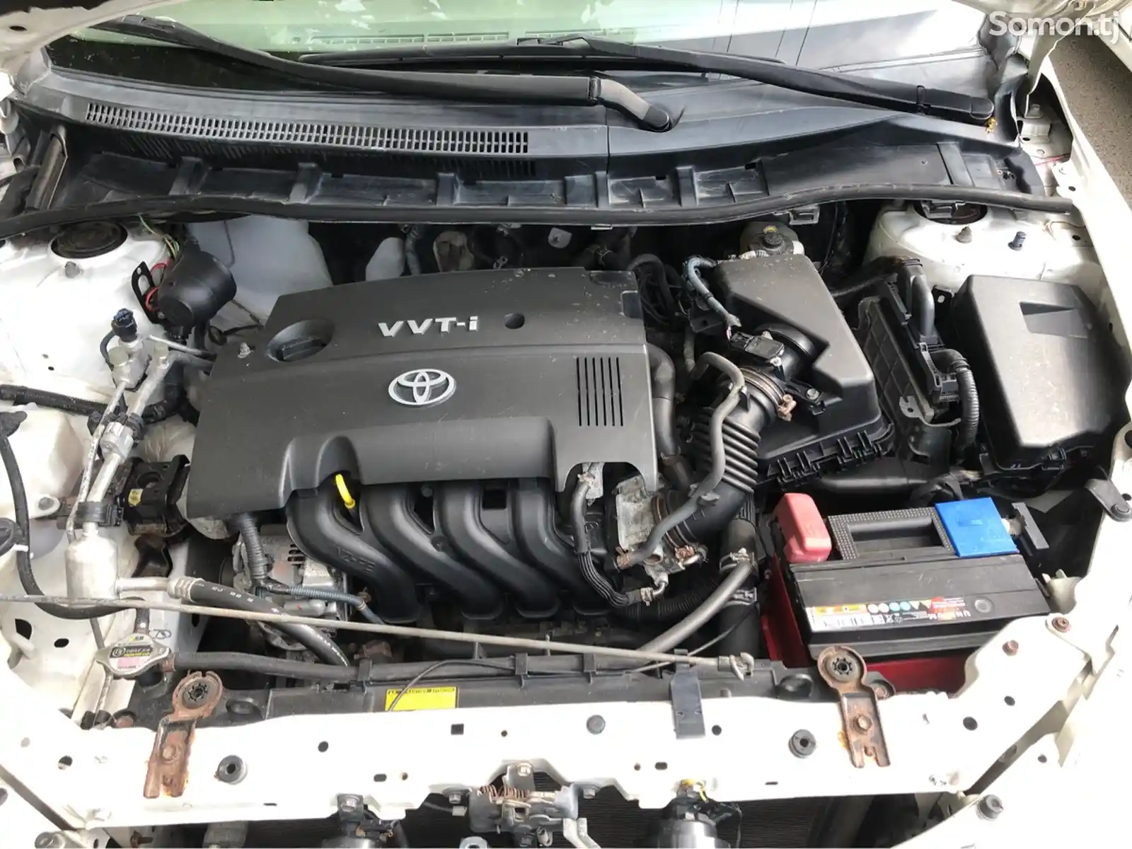 Toyota Axio, 2007-5