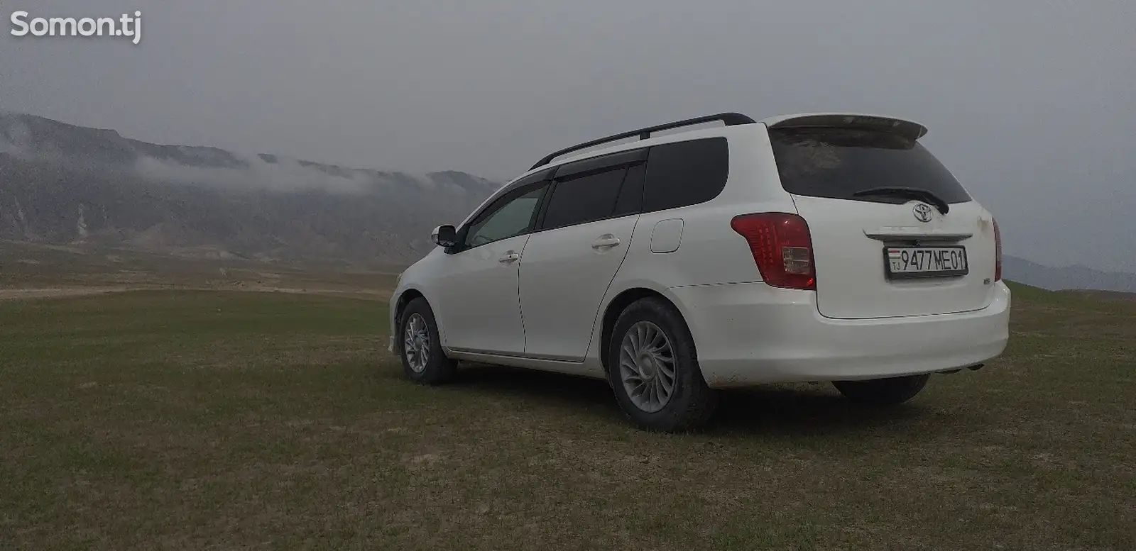 Toyota Fielder, 2008-1