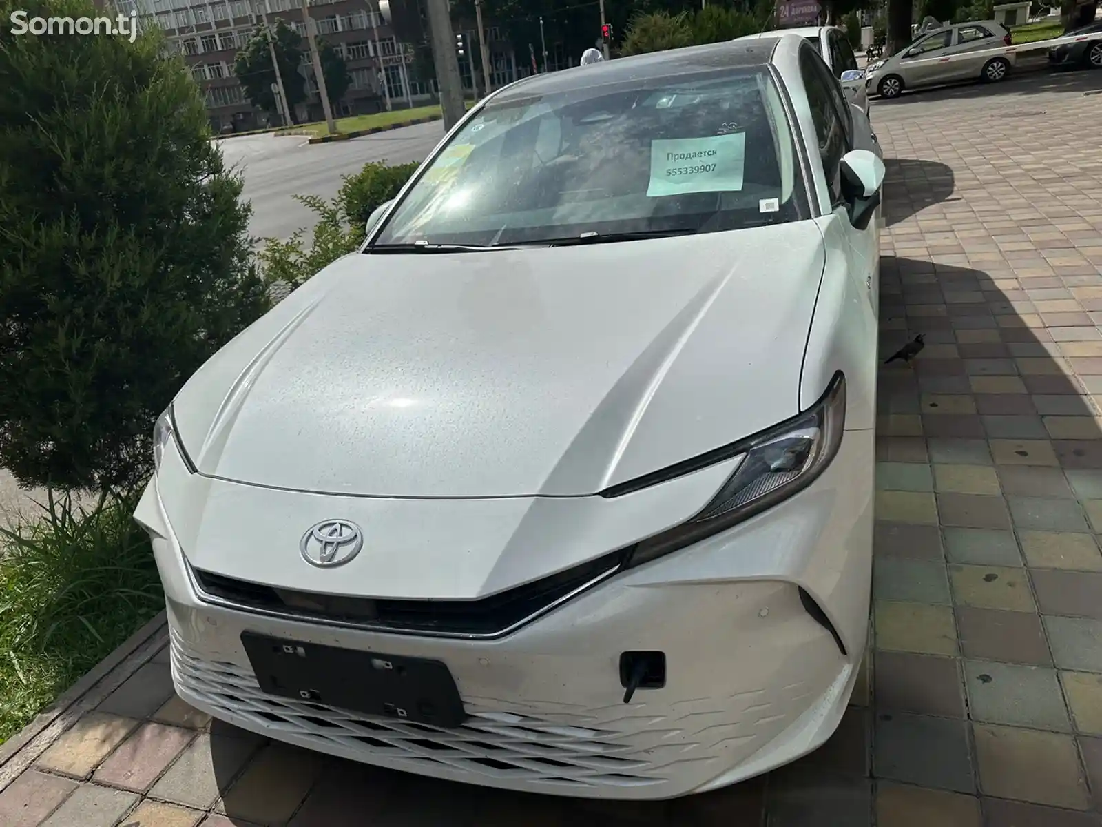 Toyota Camry, 2024-1