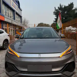 BYD Yuan Plus, 2024